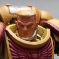 Cadian Fleshtone