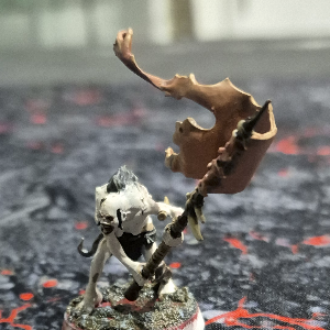 Cadian Fleshtone