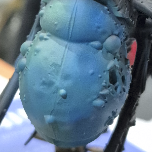 Teclis Blue