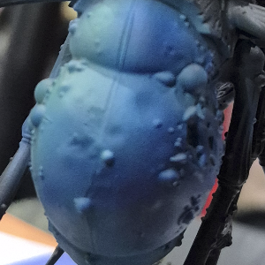 Kantor Blue