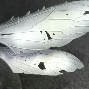 Ulthuan Grey